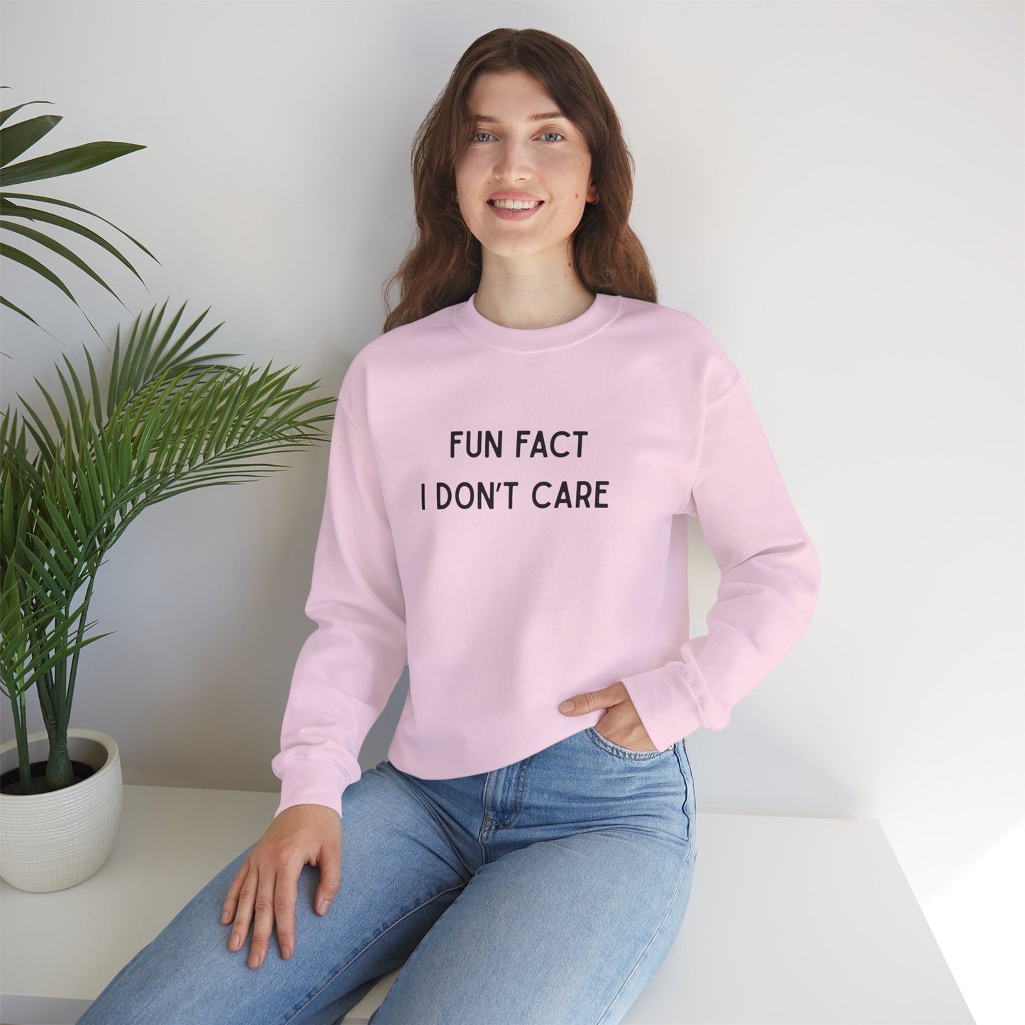 Fun Fact I Don't Care Sweatshirt