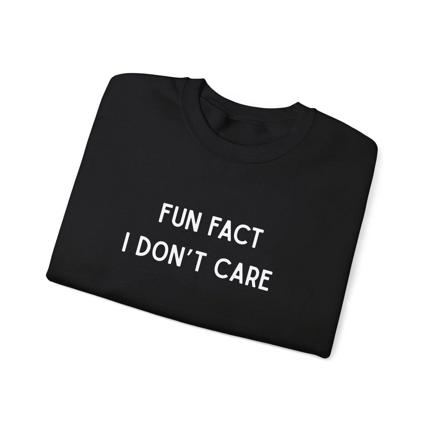 Fun Fact I Don't Care Sweatshirt